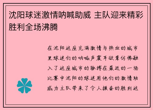 沈阳球迷激情呐喊助威 主队迎来精彩胜利全场沸腾